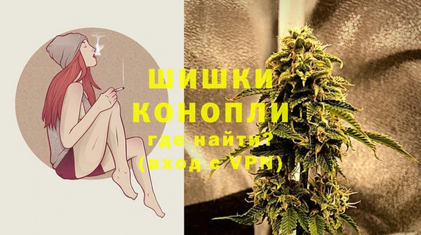 крисы Заводоуковск