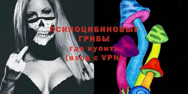 крисы Заводоуковск